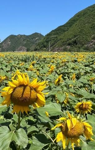 宗教自由则富，宗教越极端越穷。
        宗教信仰自由是文明富裕的象征，也