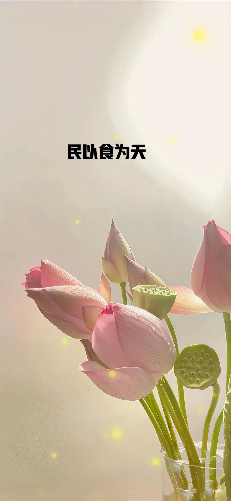 28岁的研究生女同事，
学生时代成绩优异，
年年拿奖学金，
那可是妥妥的学霸一枚