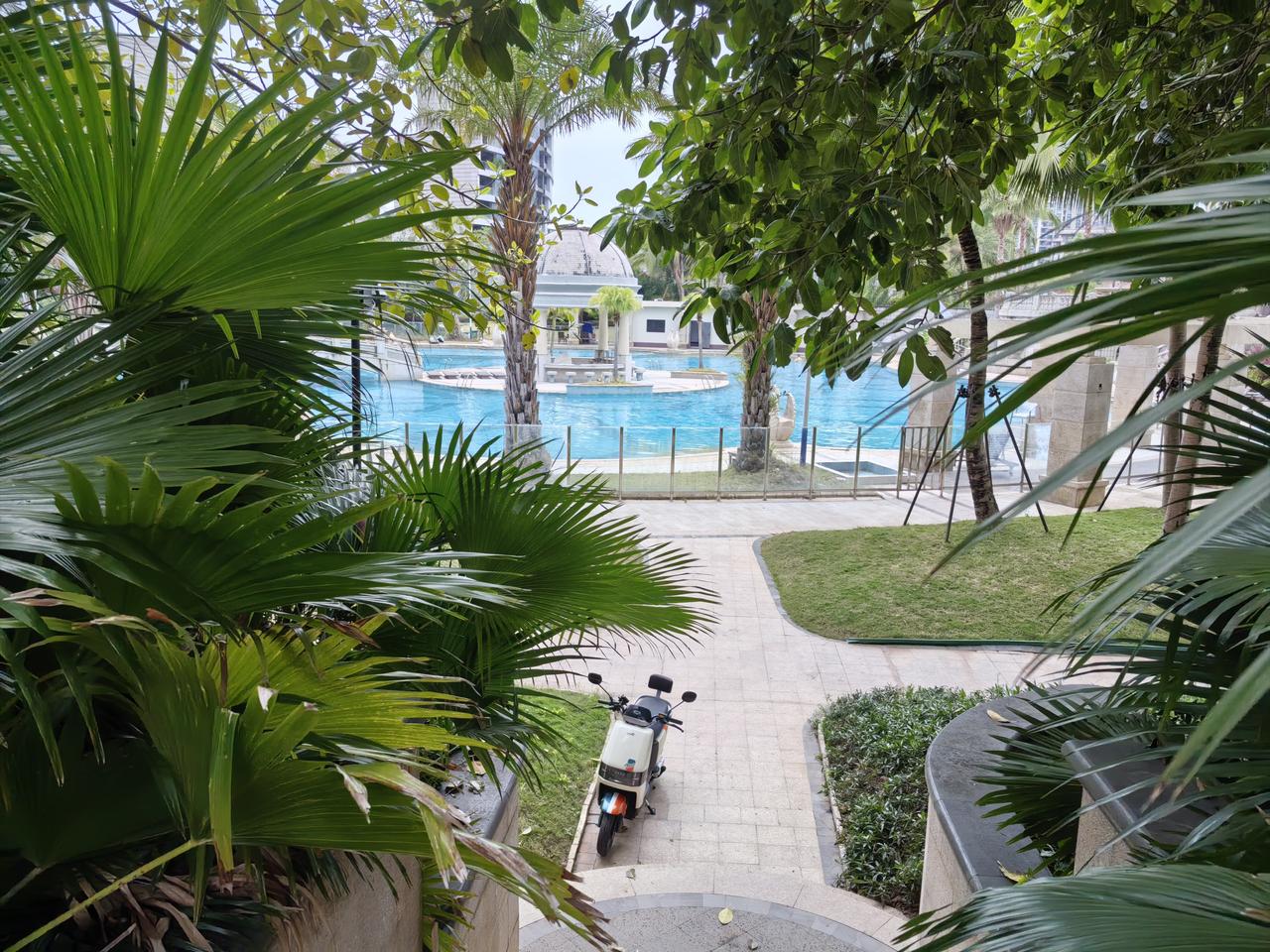 天南地北大拜年