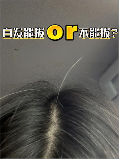 白发不解少年愁，
未老银丝爬上楼。
对镜理妆叹岁月，
怒而薅之根不留。

拔一长