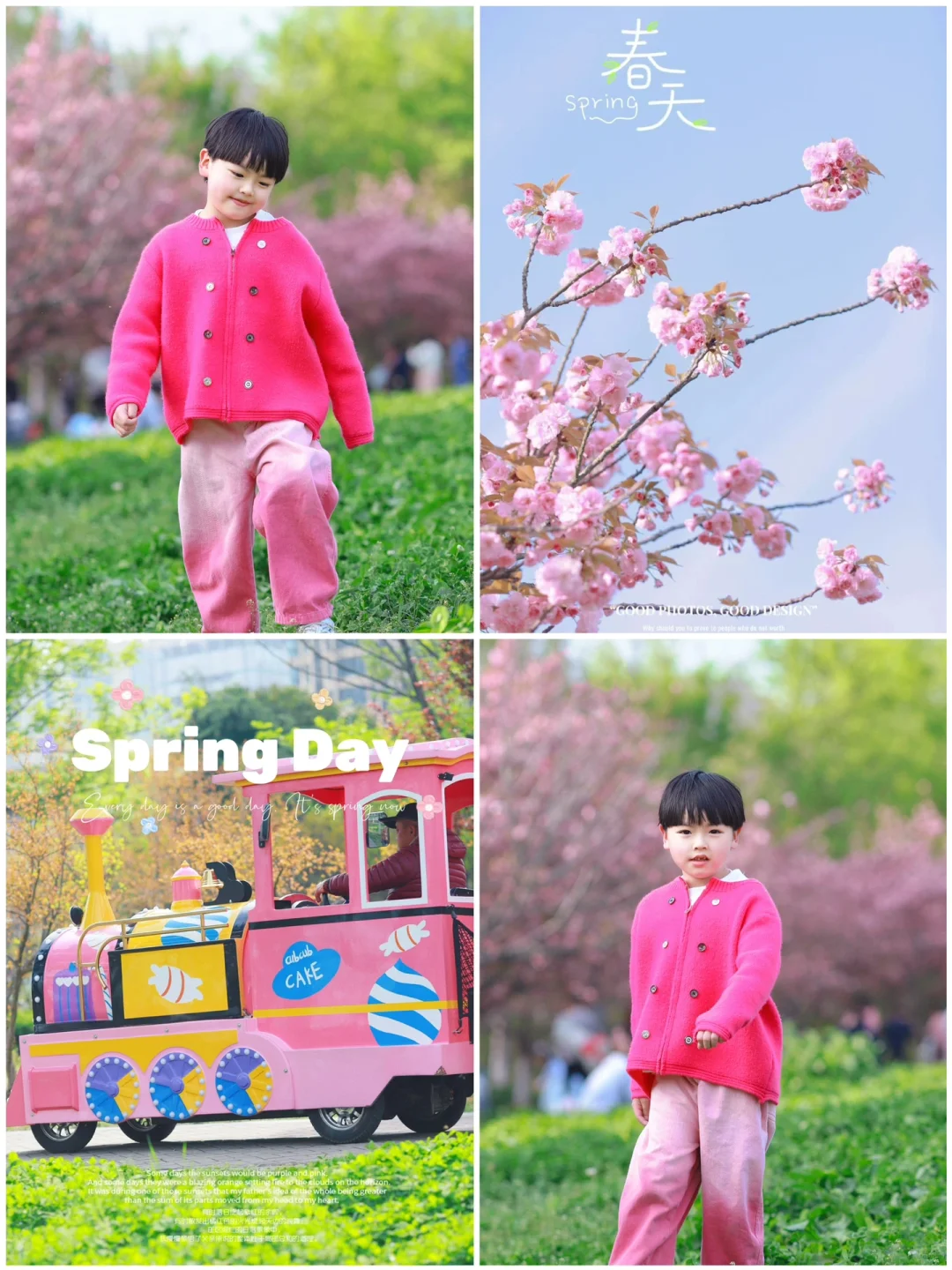 🌸春天，共赴一场樱花之约吧！