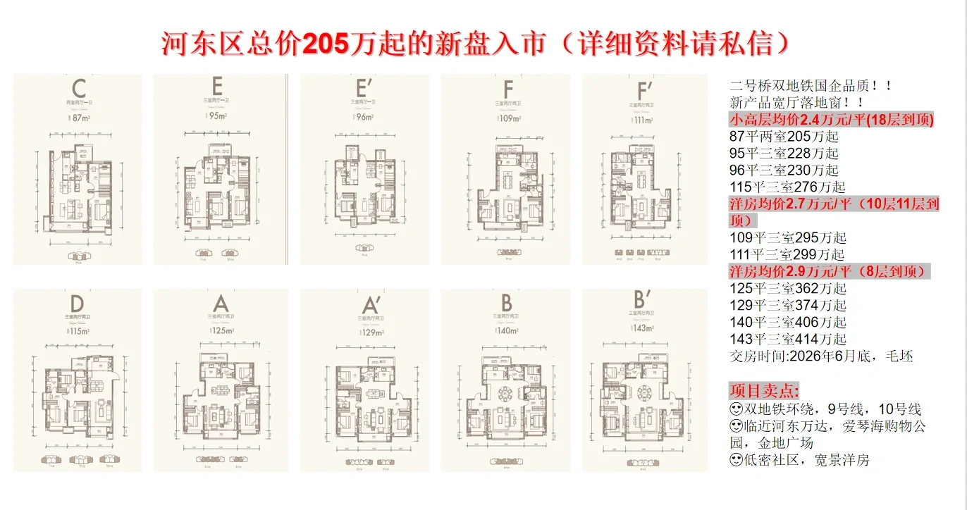 河东新房 总价205万起 双地铁 近万达