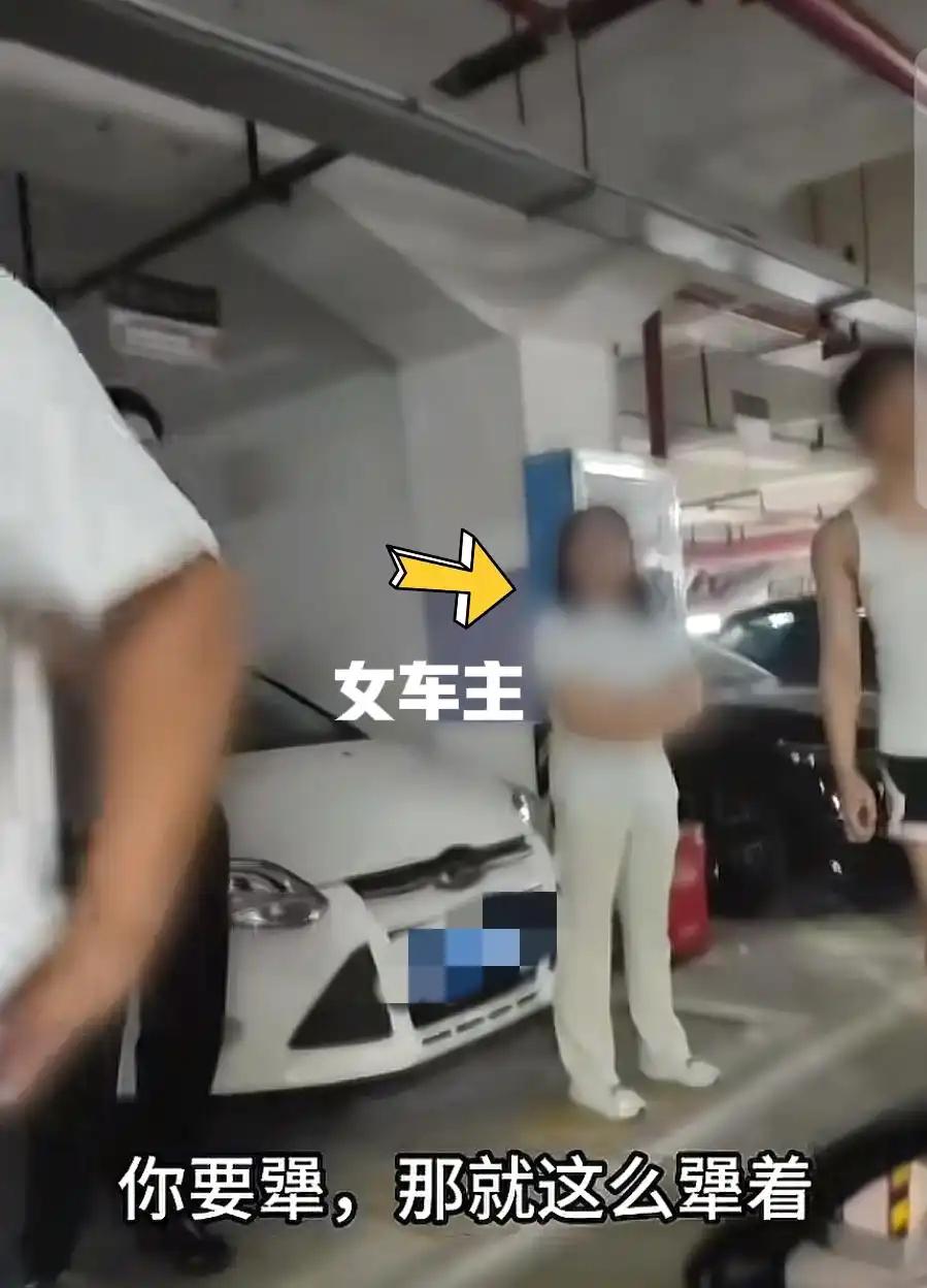 无赖的画像
霸占车位就不挪，
你们能把我奈何。
我就蛮横不讲理，
神仙拿我也没辙
