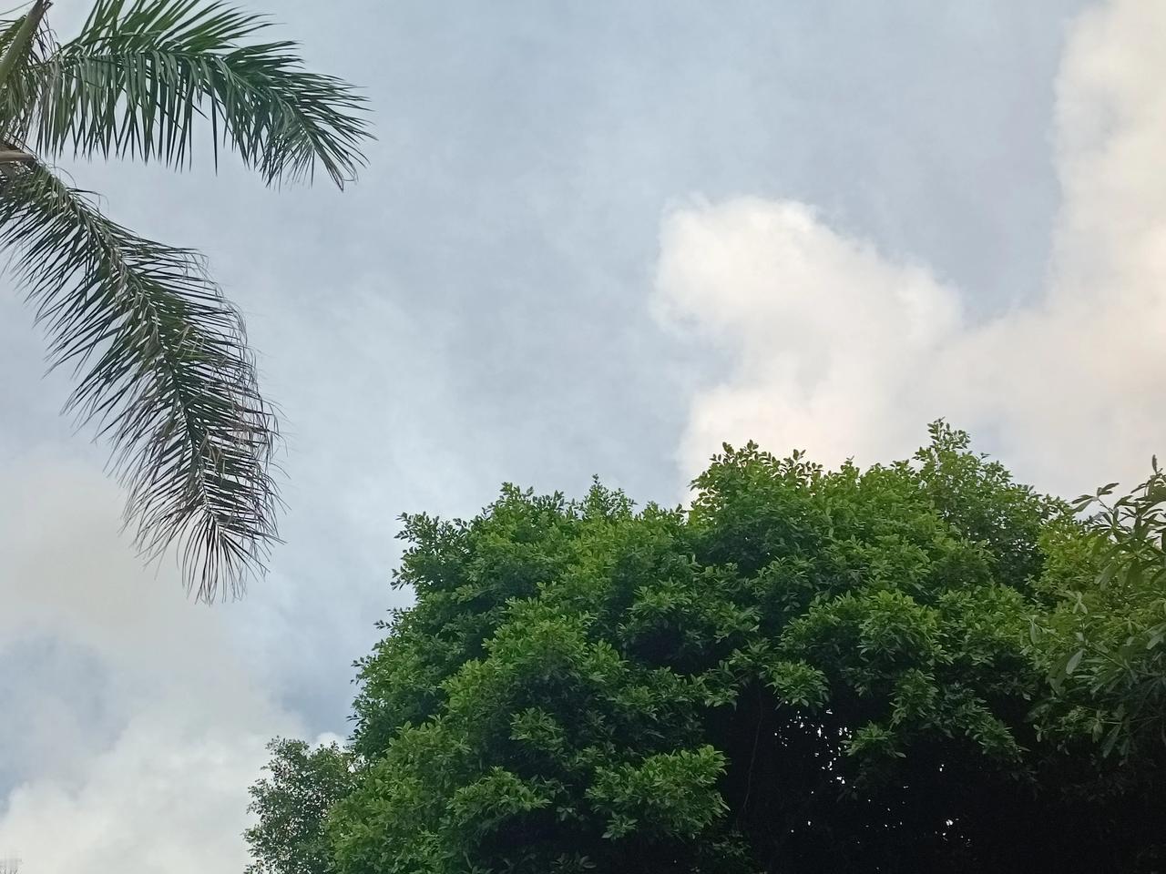 星期日晚上
天气晴朗
微微东风
很舒适
忙忙碌碌又一天
哈哈，晚上好
[招财进宝