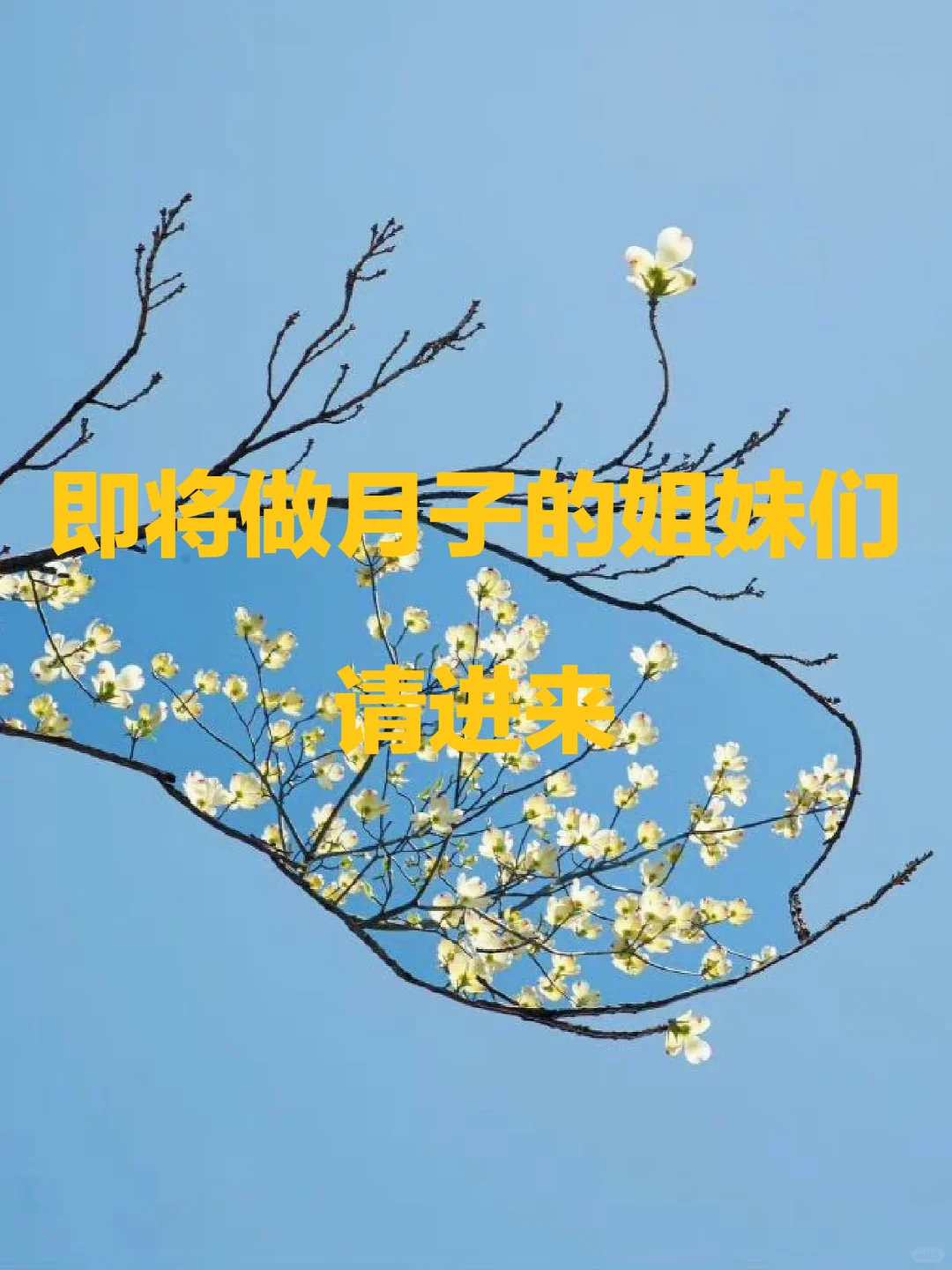 丁师 | 做月子怎么拍？