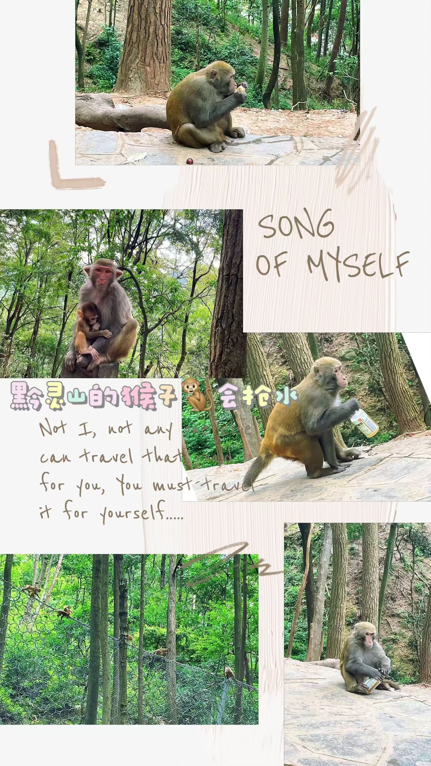 因为周深，去了贵阳，认识一座城--林城。❤️ 