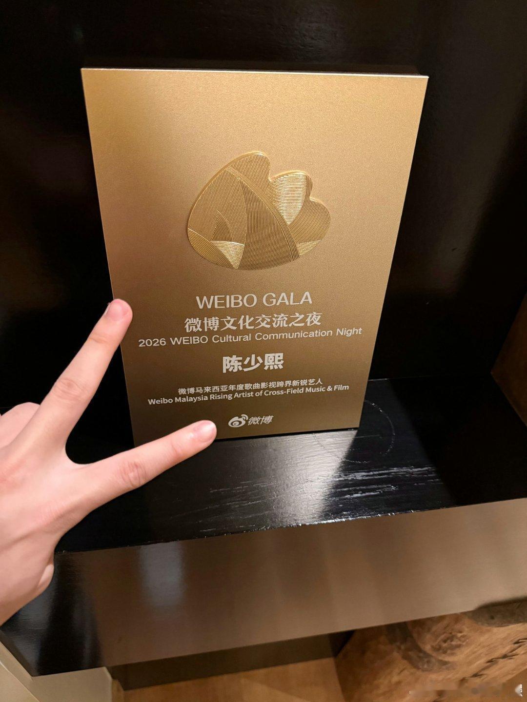 陈少熙年度歌曲影视跨界新锐艺人 破界而行，双向生长。陈少熙游走影视荧幕与音乐舞台