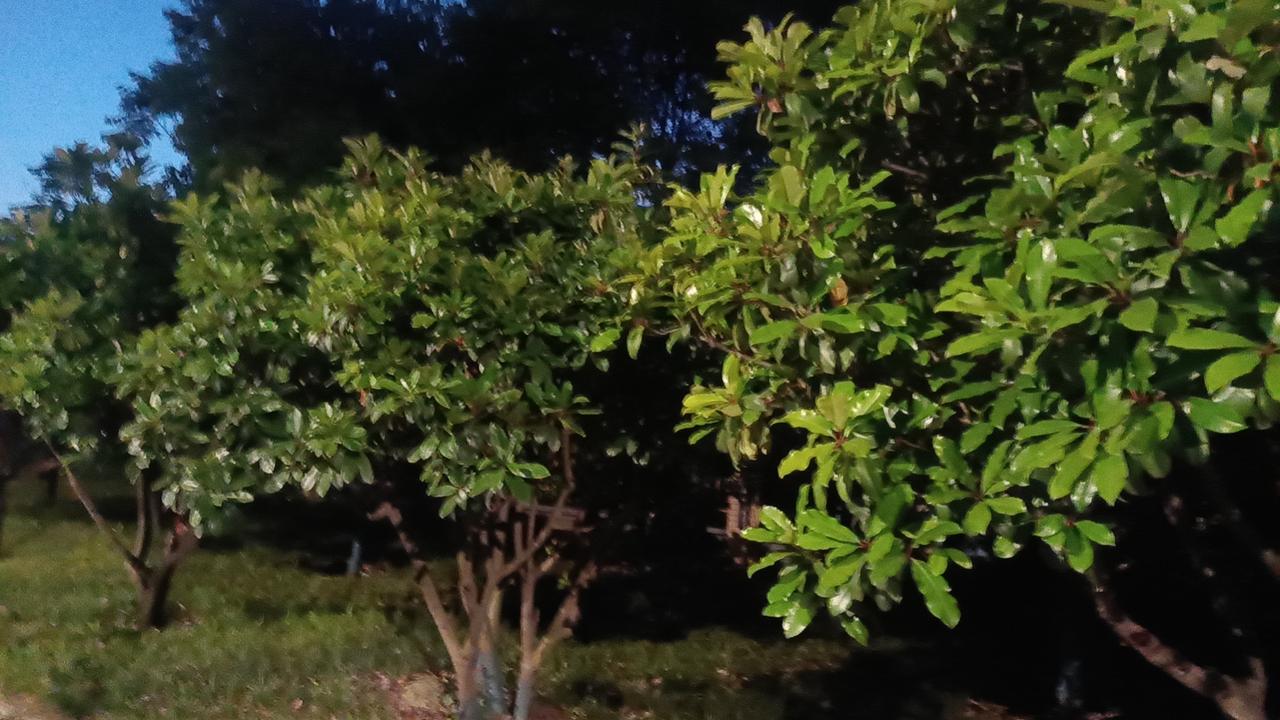 失眠确实让人很难受，那种想睡却睡不着的焦虑感反而会让大脑更加清醒。其实，想要快速