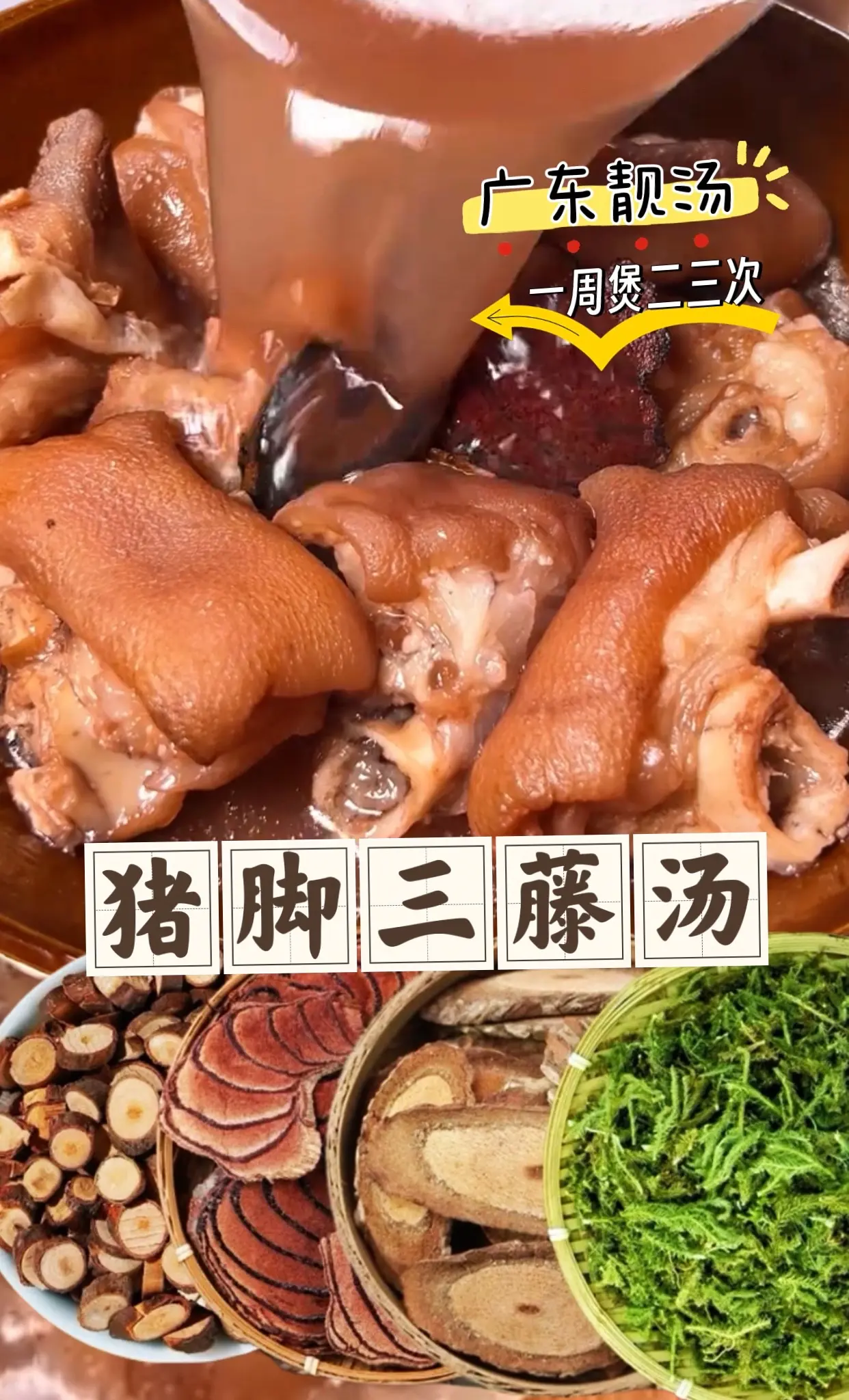 闽南靓汤分享，猪脚煲鸡血藤、海风藤、桂枝、伸筋草，一周煲二三次，全家老小都能喝