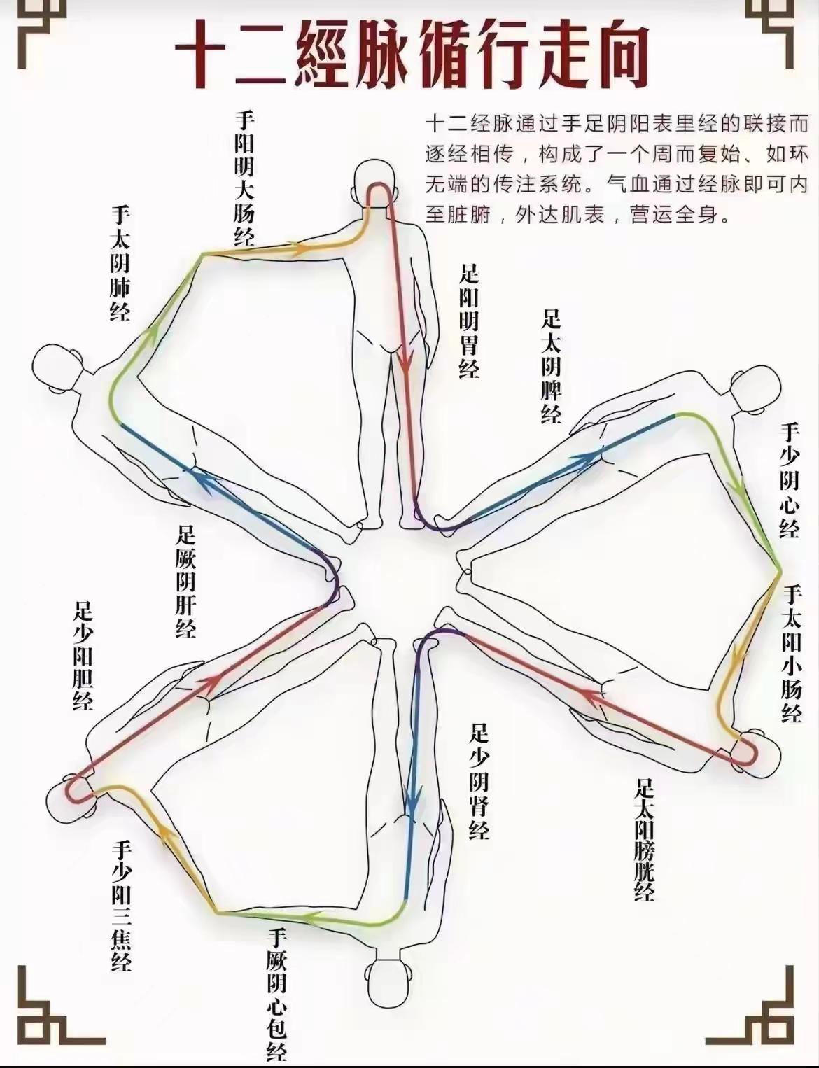 中医的尽头，其实就是一个圆，一个太极！以十二经络运行为例，对照下图，好好看看[赞