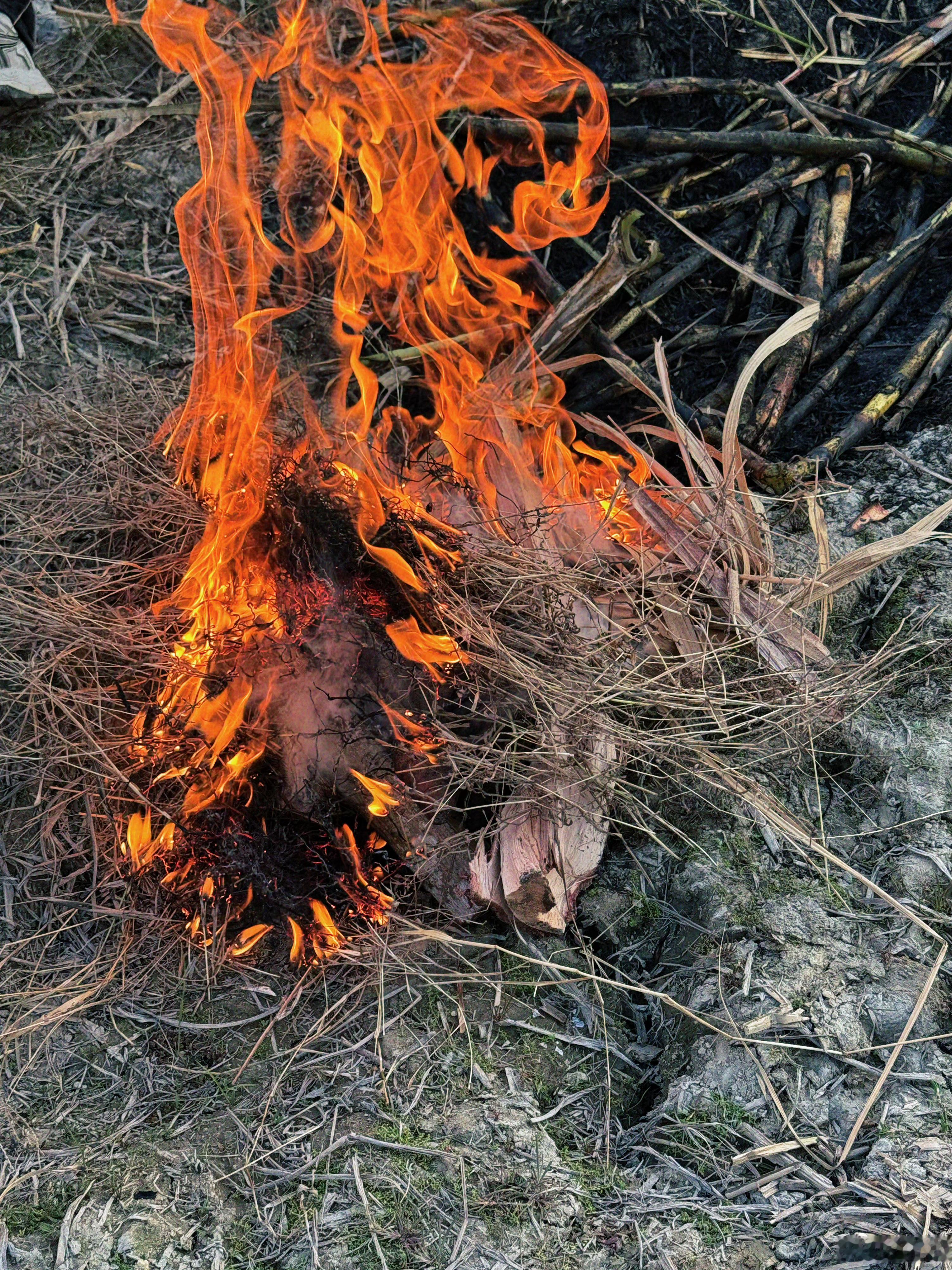 北方下雪了，南方还穿短袖呢…