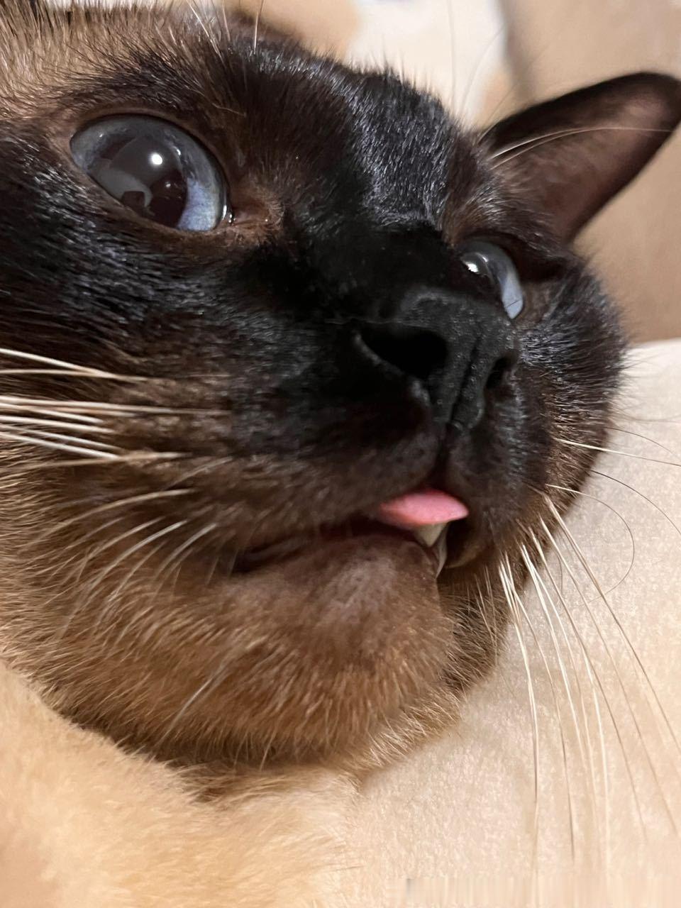 早安逼罗
