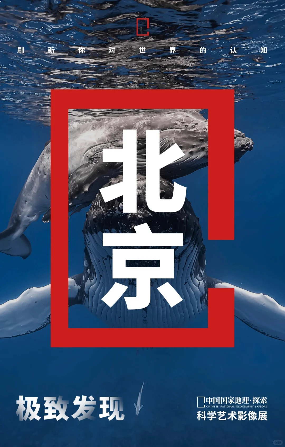 来，在北京，这份月球的土特产等你“极致发现”