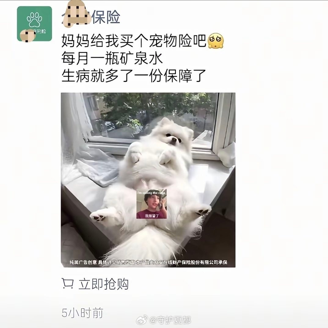 宠物险广告把女性私处P图狗身上商业广告博流量可以理解，但突破底线、低俗恶俗就失了