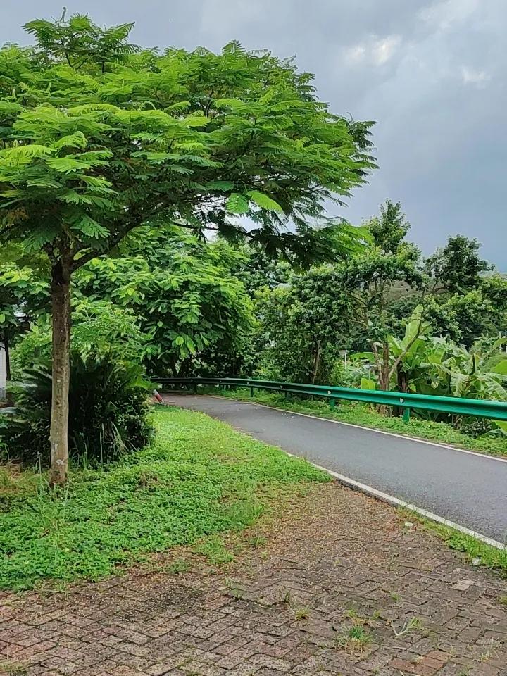 分享一张我在路上拍到的绝美风景。那是在新疆阿勒泰的阿禾公路，不愧是北疆经典自驾景