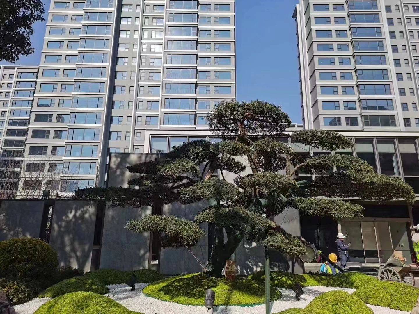 颐和源璟交付真的近了