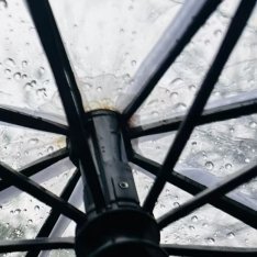 每日一善 善待他人，就是善待自己。 