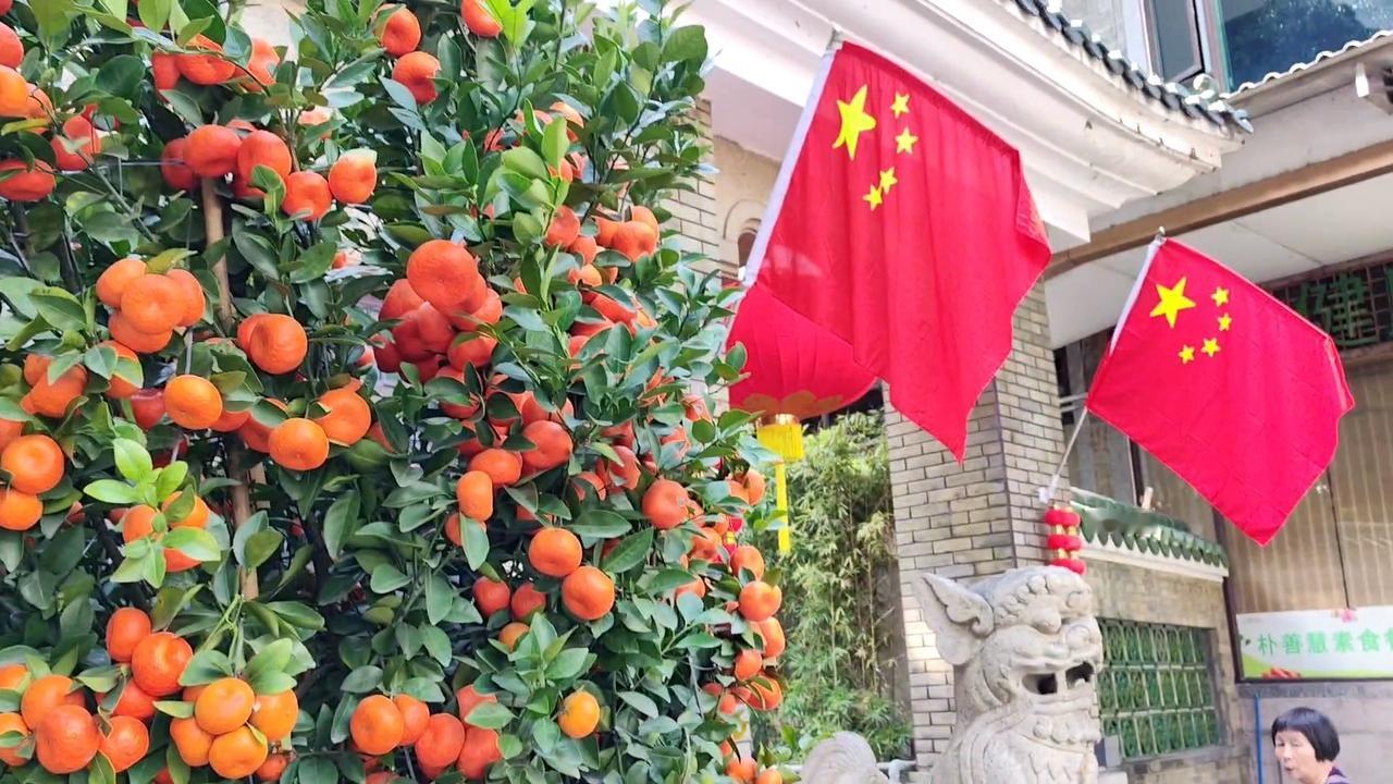 七绝●马踏青云/古韵   

大桔红红好运长，
微芯白白桂花香。
风光迤逦人舒畅