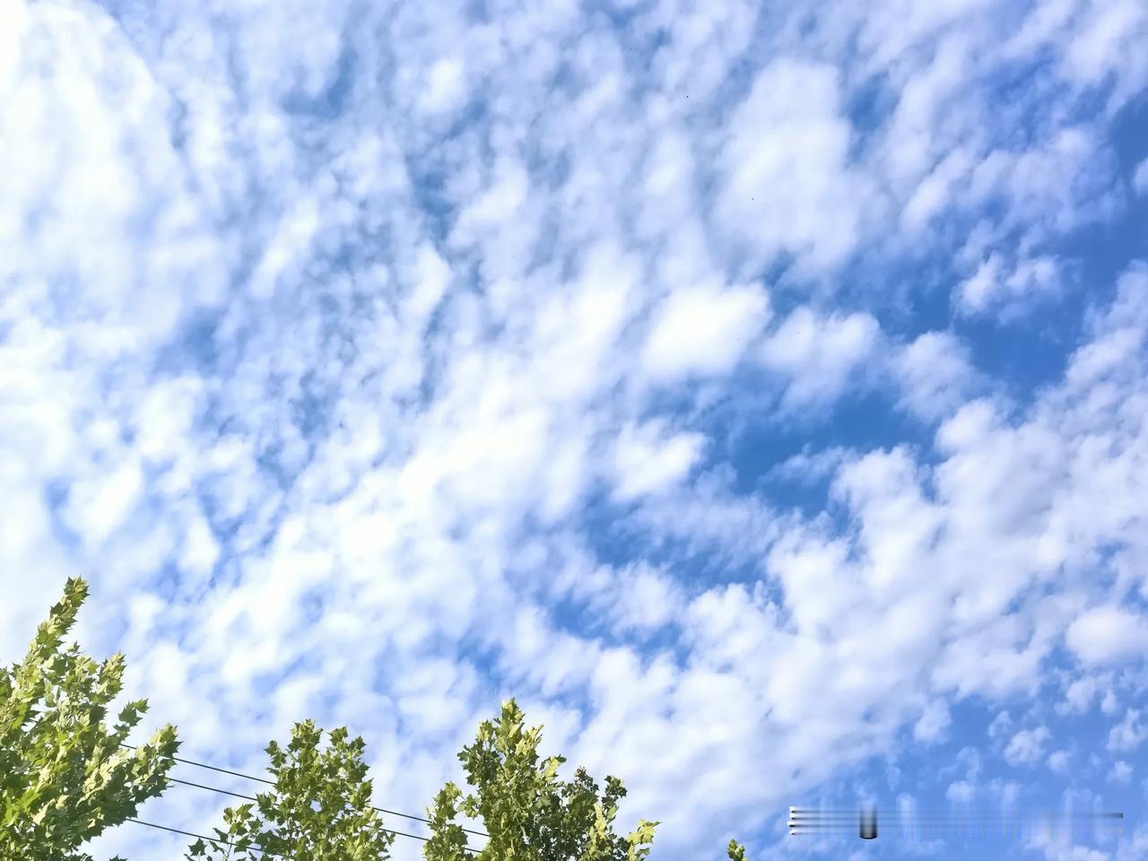 今天的云煞是好看，它是那么高洁淡雅，温柔安然。看着这缓缓地慢悠悠的流云。我心中的
