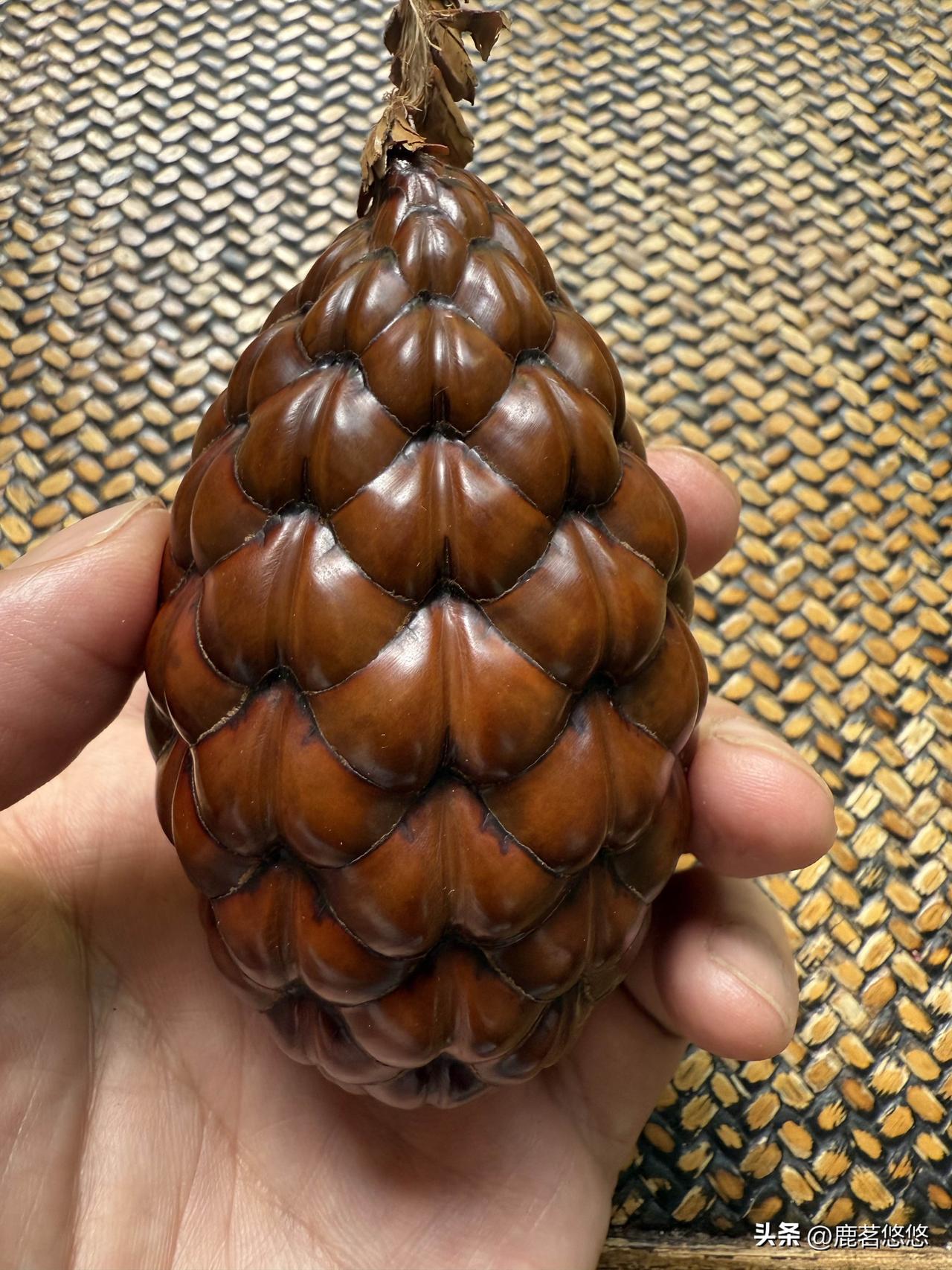 泰坦之泪。很久以前，追逐太阳的巨人流下一滴坚硬的泪水。他的身躯化作高大的树木，依