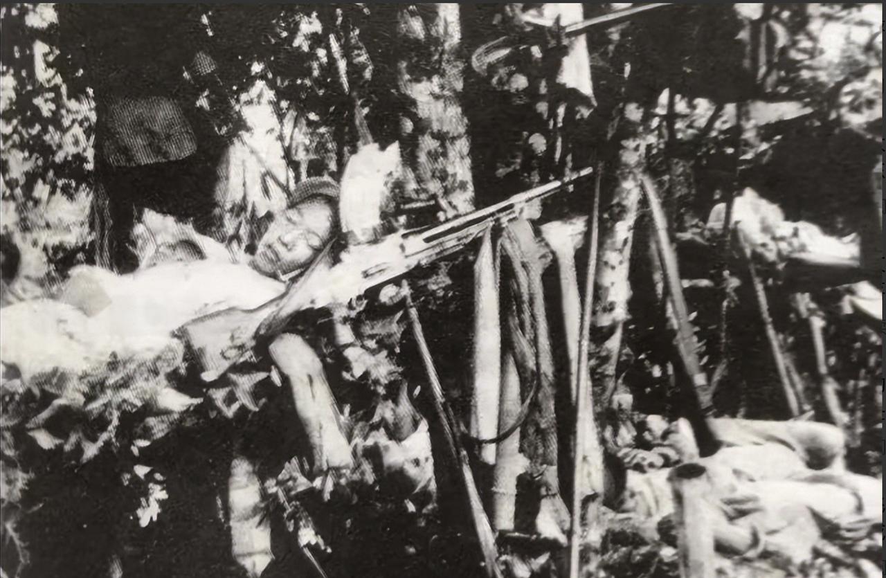 1950年，三野深山剿匪，偶遇4个短发女孩。她们自称学生，执行秘密任务。谁知，她