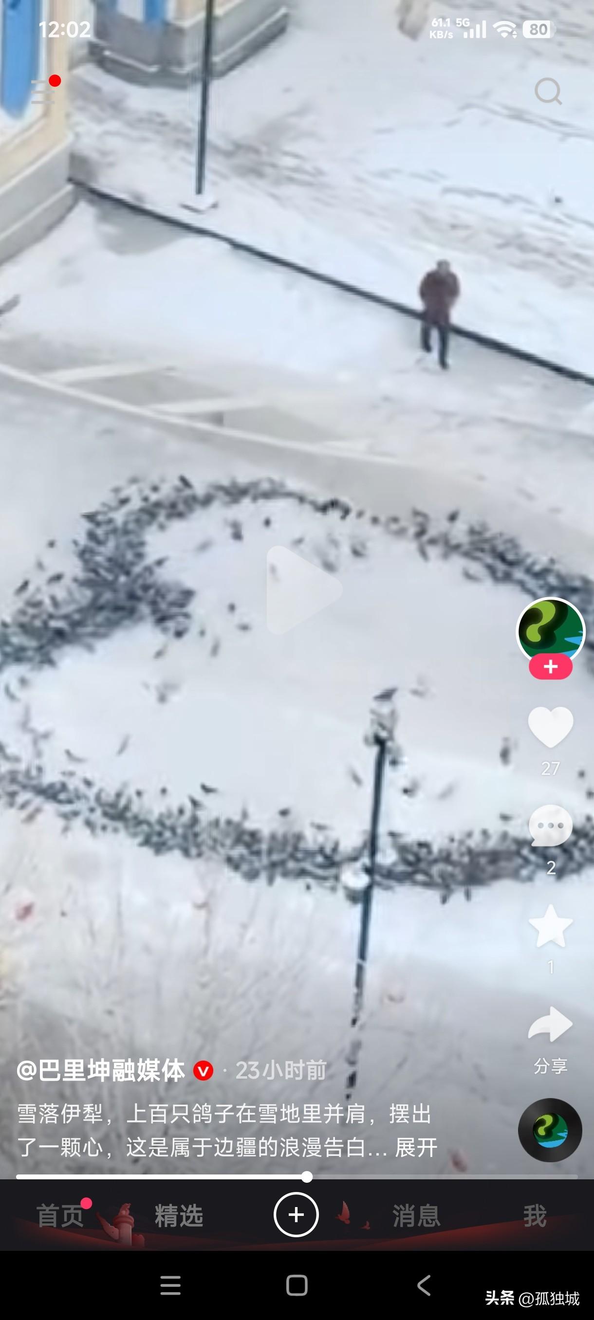 伊犁上百只鸽子在雪地里并肩摆出一颗心，这属于边疆的浪漫告白是不是太神奇了，这是鸽