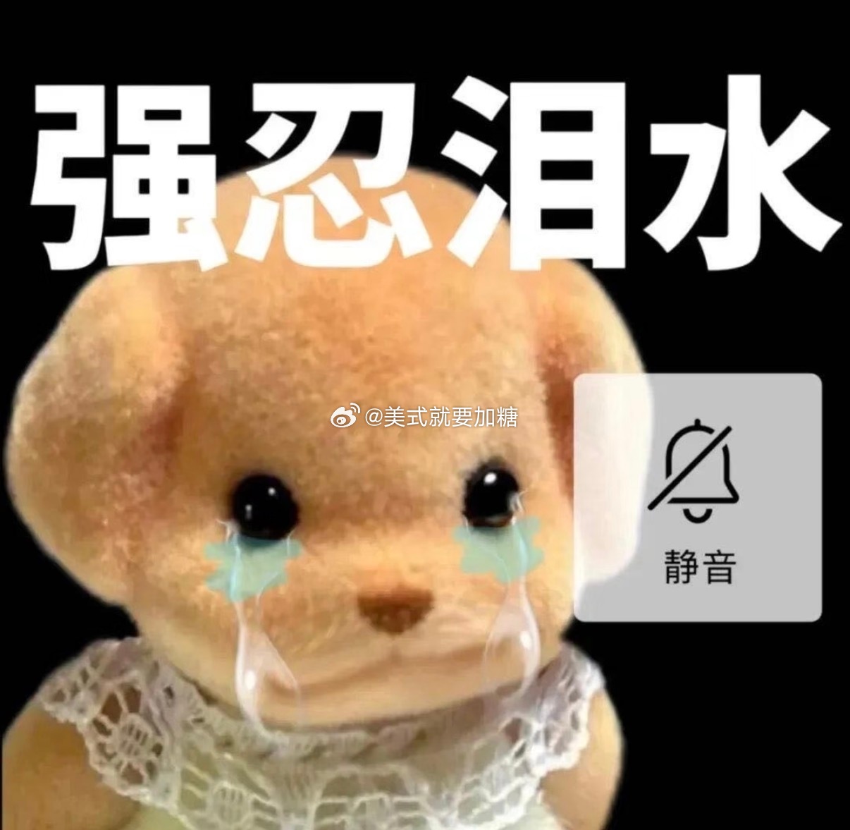 想我了没！！！从学校办完事立马就跑回家看房子（这几天感觉累得有点透支了每天都只睡