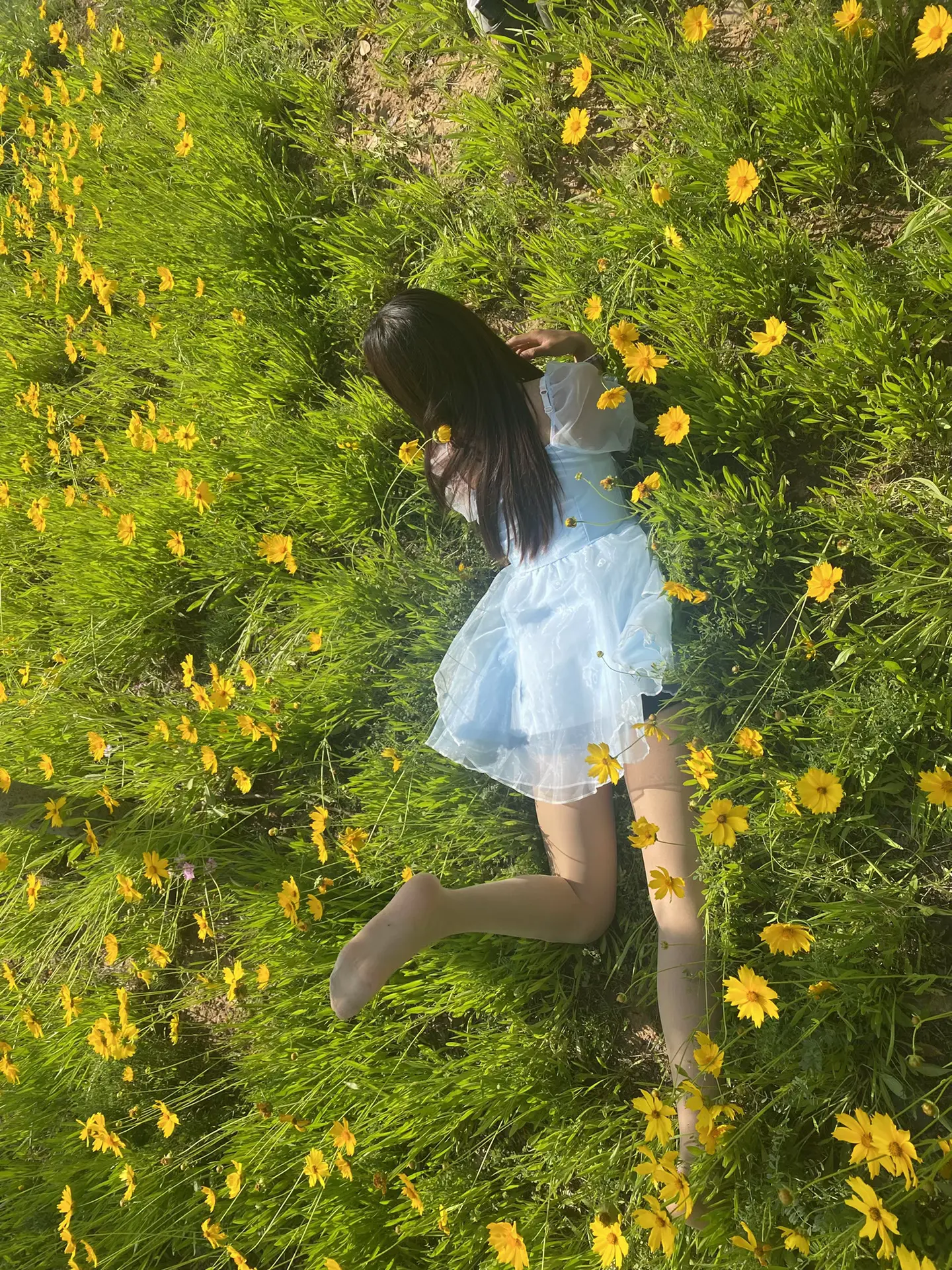 只要淡淡的 就会顺顺的