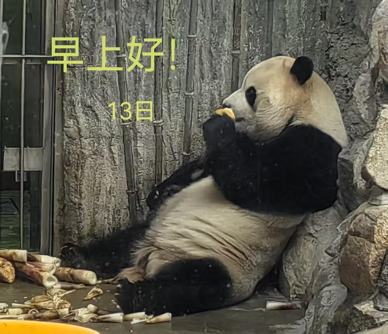 今天早上我看着红豆杂粮米饭，看着蒸的土豆🥔、胡萝卜🥕、凉拌的白菜萝卜丝越看越