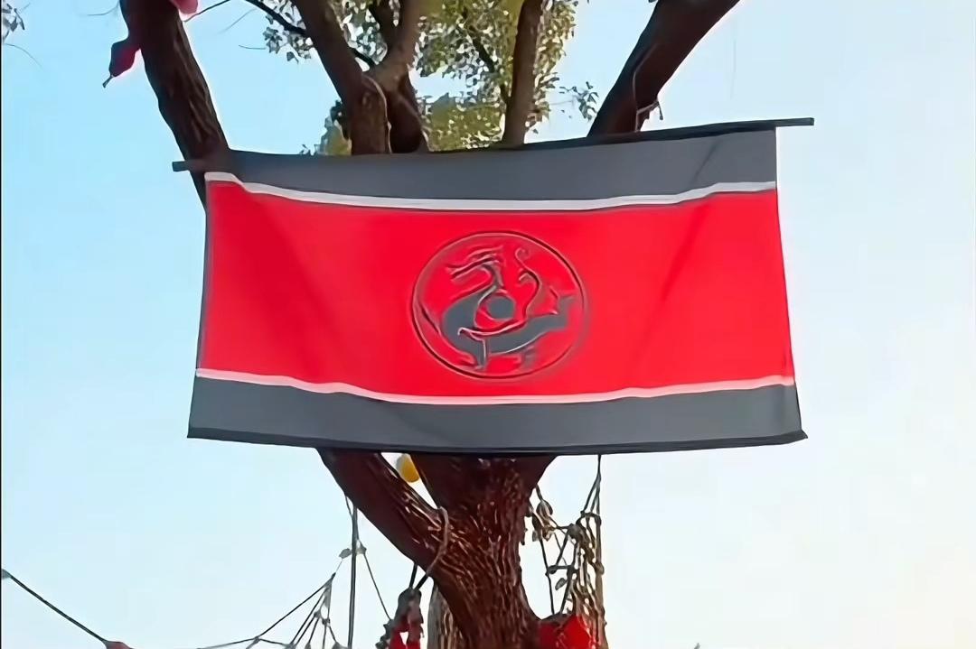 黑龙旗、黄龙旗原来还有这么多的讲究呀。
（图一至图四）是黑龙旗，又称为“大汉黑龙