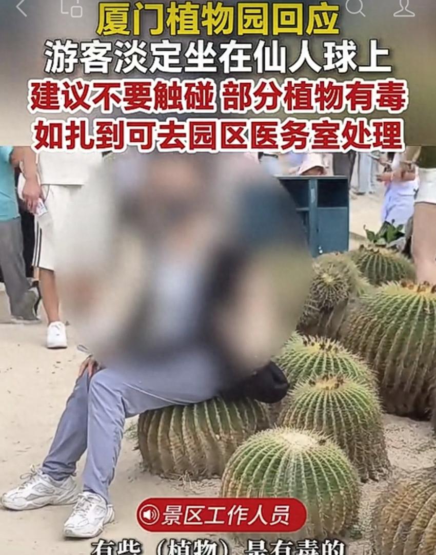 太敢了！厦门植物园惊现硬核游客，满满一身尖刺的巨型仙人球，旁人躲都来不及，一名女