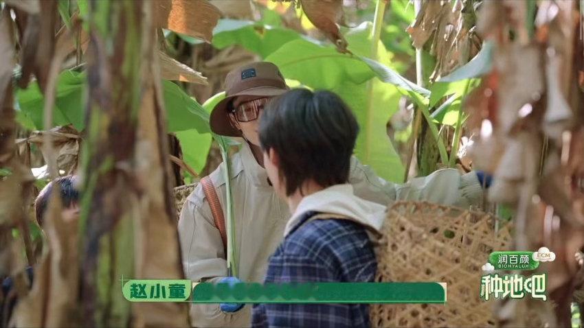 十个勤天十个刀郎 砍香蕉，网友直接赐名“十个刀郎”，比正片内容更好笑的是禾伙人的