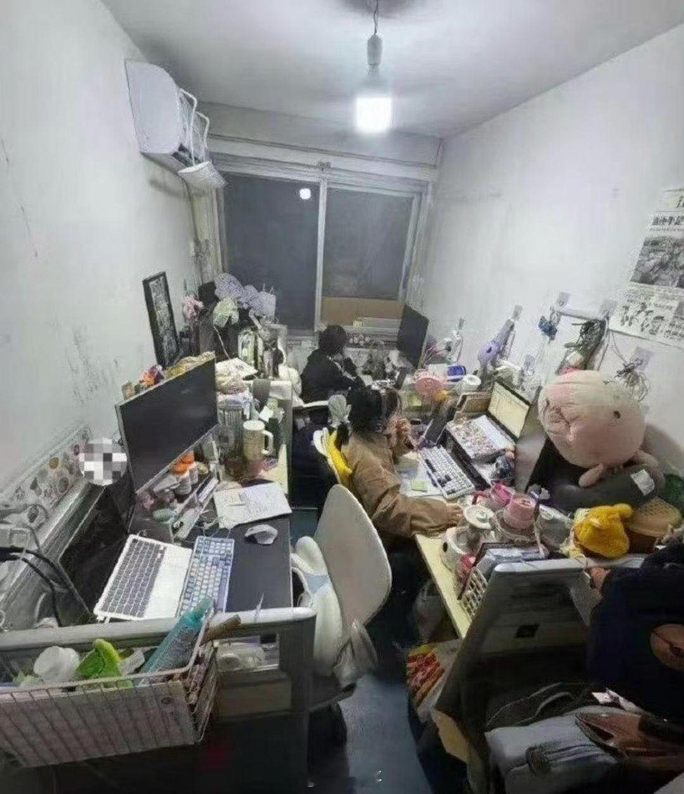 这环境，待久了能不生情？ 