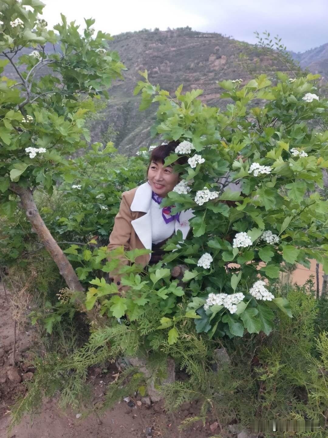 在山间花丛中，微笑的瞬间定格花中微笑 花丛微笑