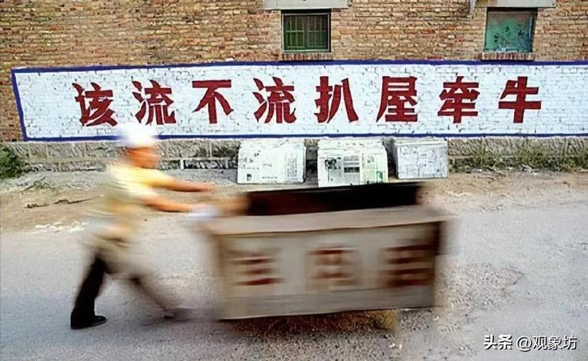 墙上这八个字，戳中了多少人的心巴：该流不流，扒屋牵牛

走在乡间的小路上，偶然看