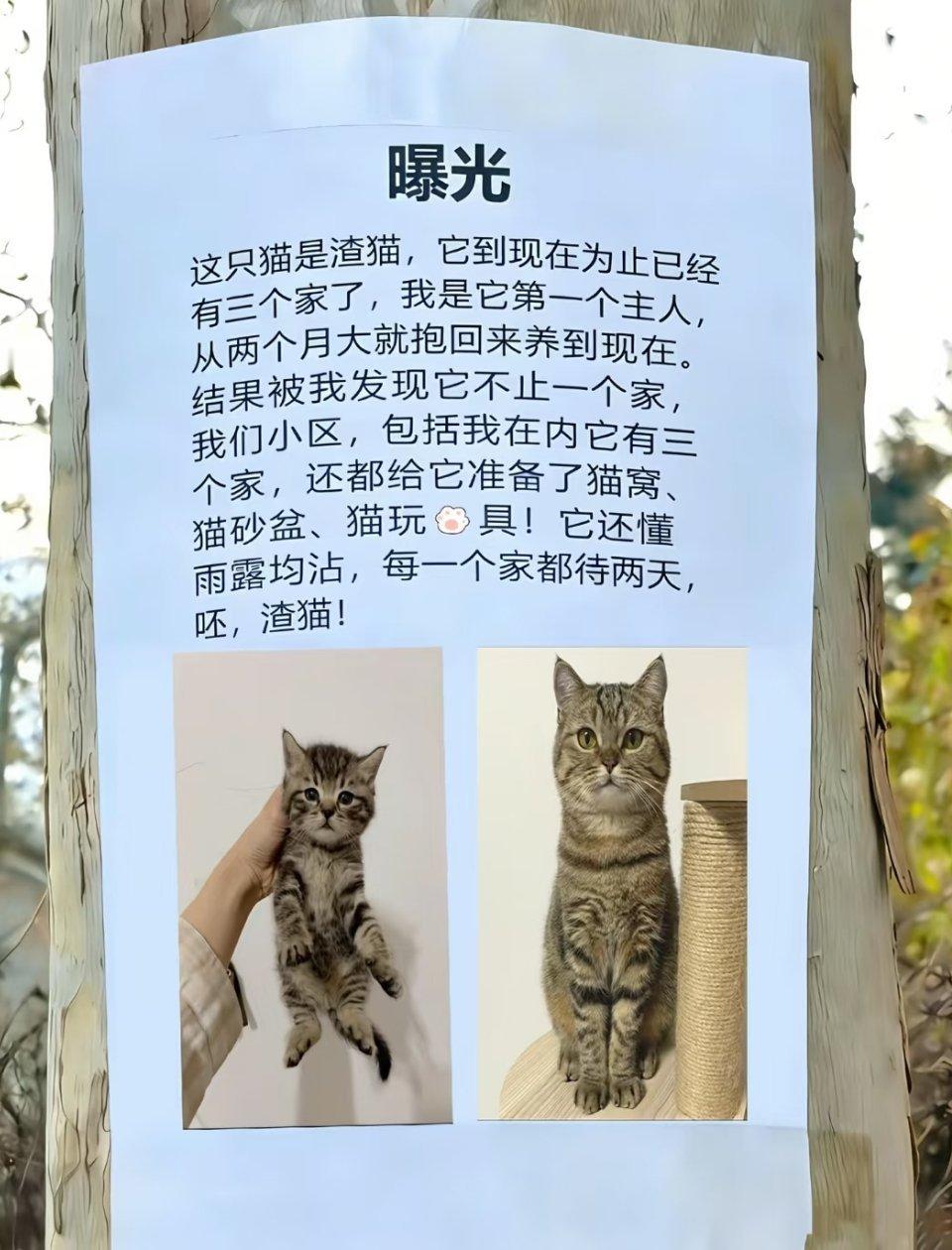 一只被曝光的渣猫，[允悲][允悲][允悲] ​​​