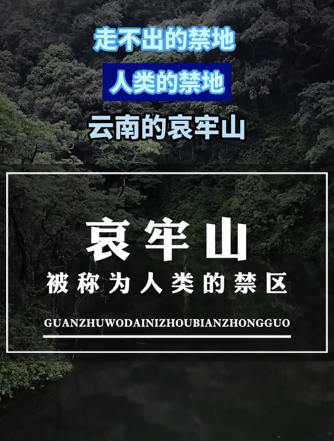 #爆火的哀牢山到底有多凶险？#云南哀牢山因其独特的自然风光和神秘莫测的探险体验而