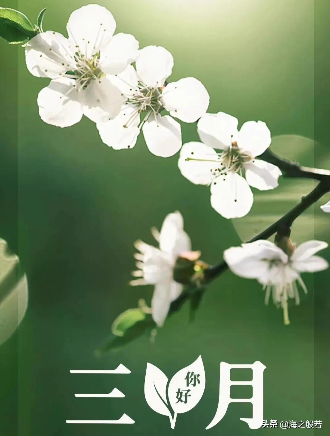 三月

                ——海之般若

三月从一顿早餐开始
热气