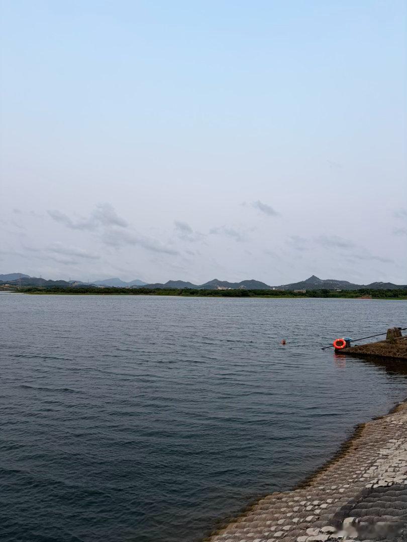 水库游泳🏊♂️ 