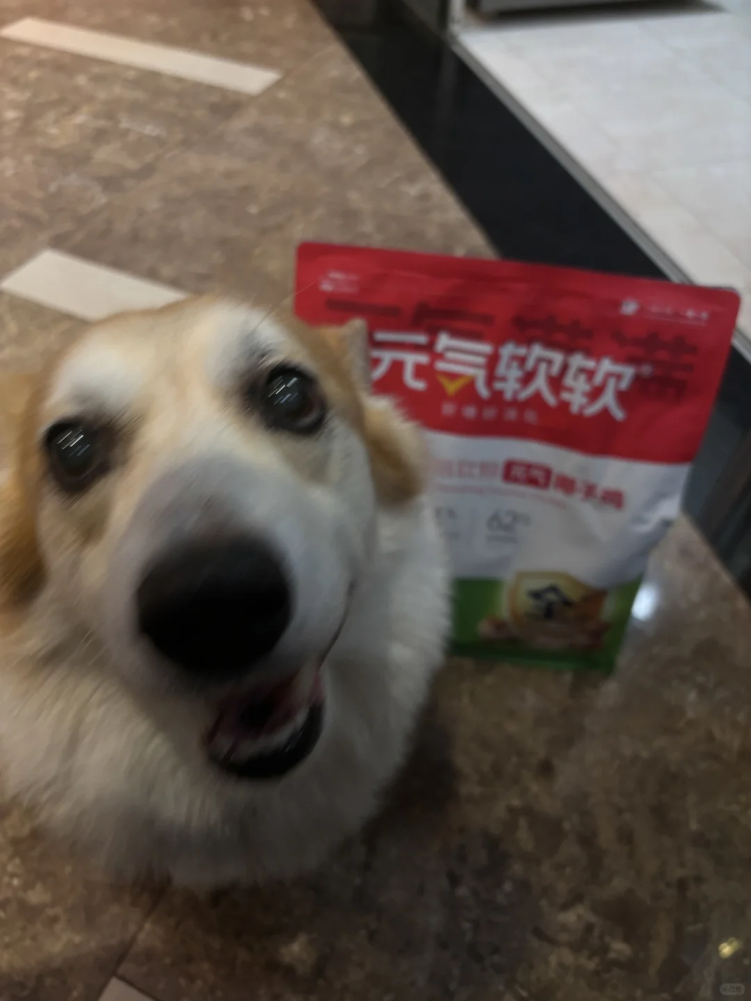 吃上元气软软狗粮噜