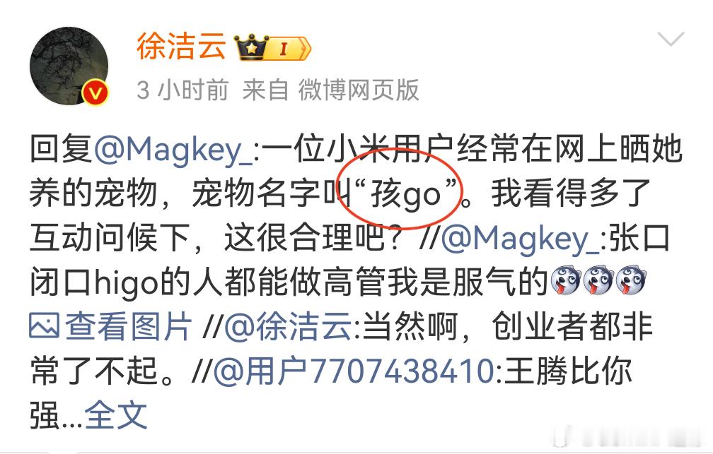 小米高管谈“孩go”是小米用户养的宠物？小米