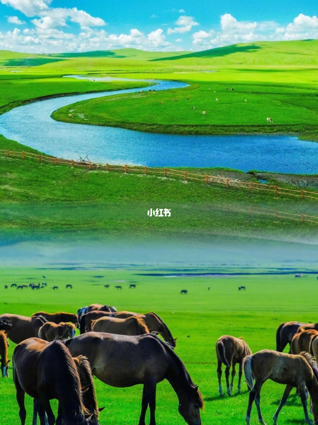 这个夏天带娃去一次呼伦贝尔吧/附省钱攻略