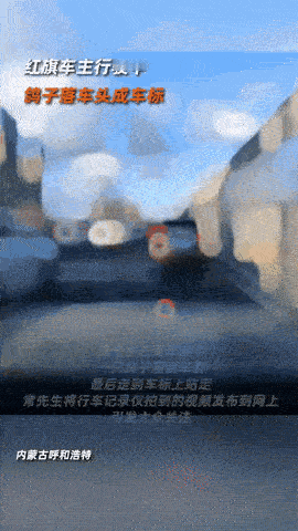 这个创意好！内蒙古呼和浩特，男子开红旗车出门，突然飞过来一只鸽子，晃悠了一会坐到