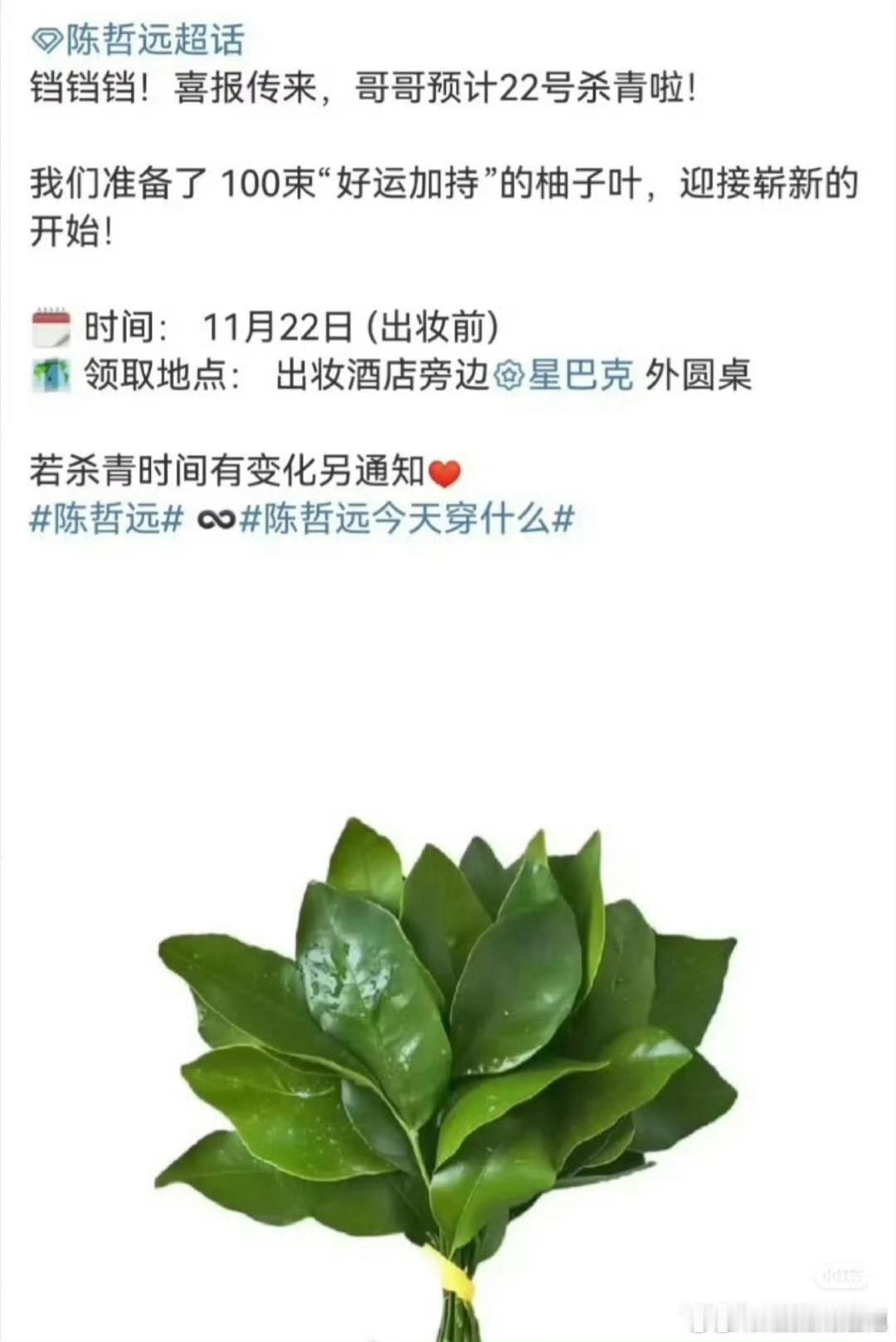 陈哲远粉丝为陈哲远杀青准备了100束柚子叶这才是真正的量子纠缠魔法打败魔法吗？ 