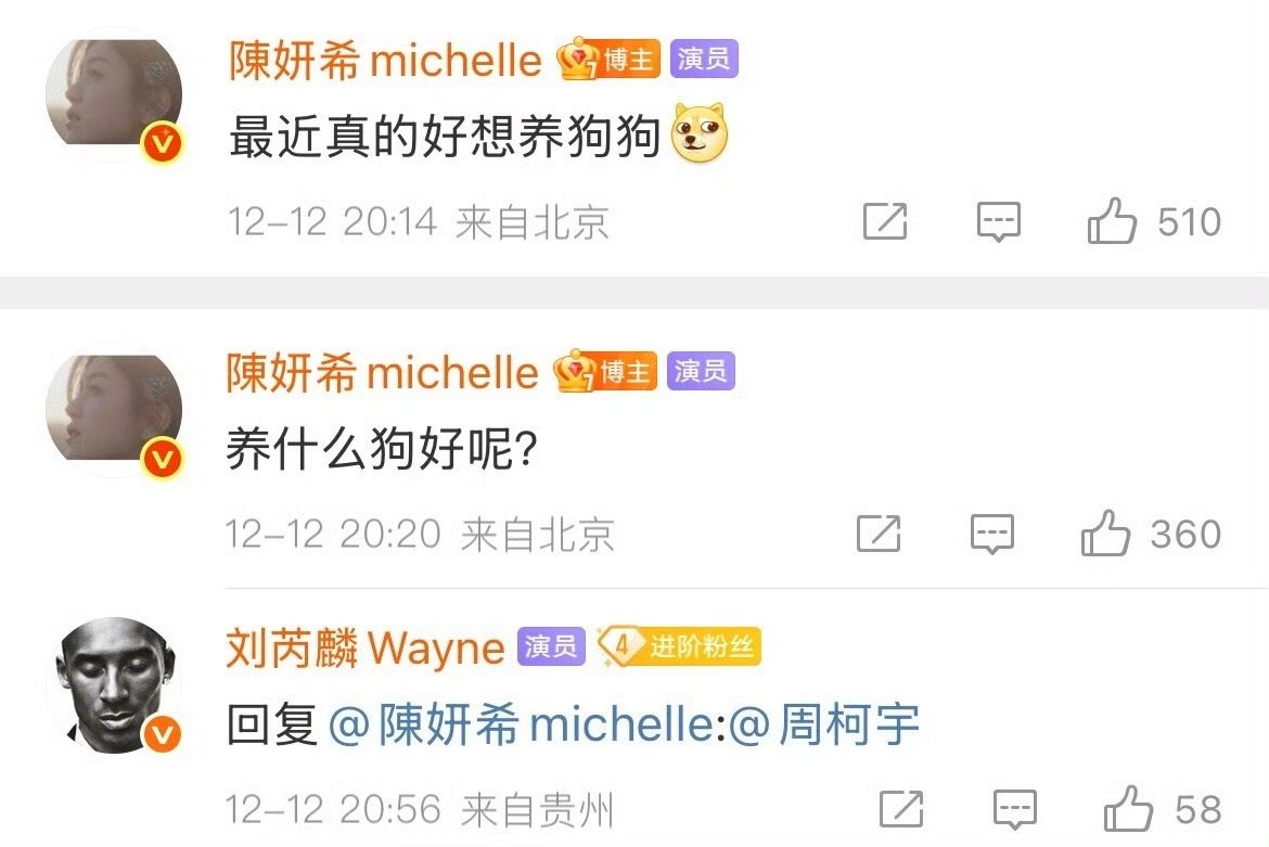 🆘现在剧宣都这么玩吗