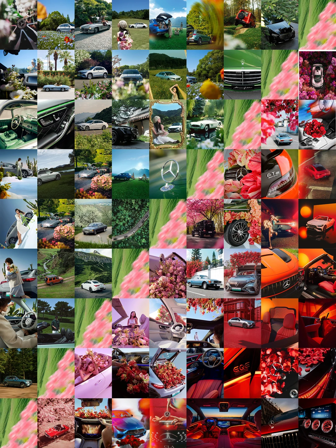 红灯停，绿灯行💚接下来进入红绿配的春天