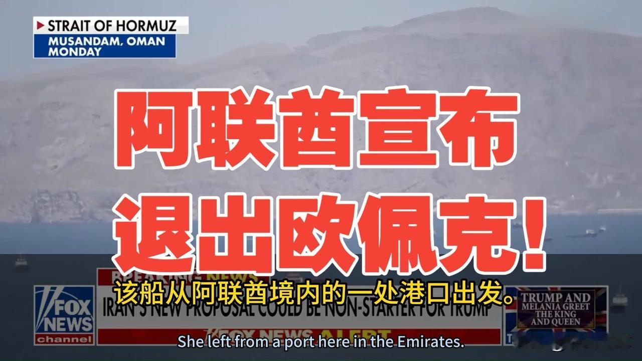 阿联酋称退出欧佩克及欧佩克+阿联酋宣布退群，石油输出方面又多了一个变数。不过阿联
