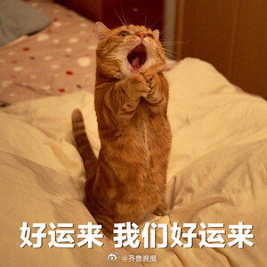 #早安# 十月好运正在派送，愿所有的美好和幸运，都能不期而遇。 ​​​