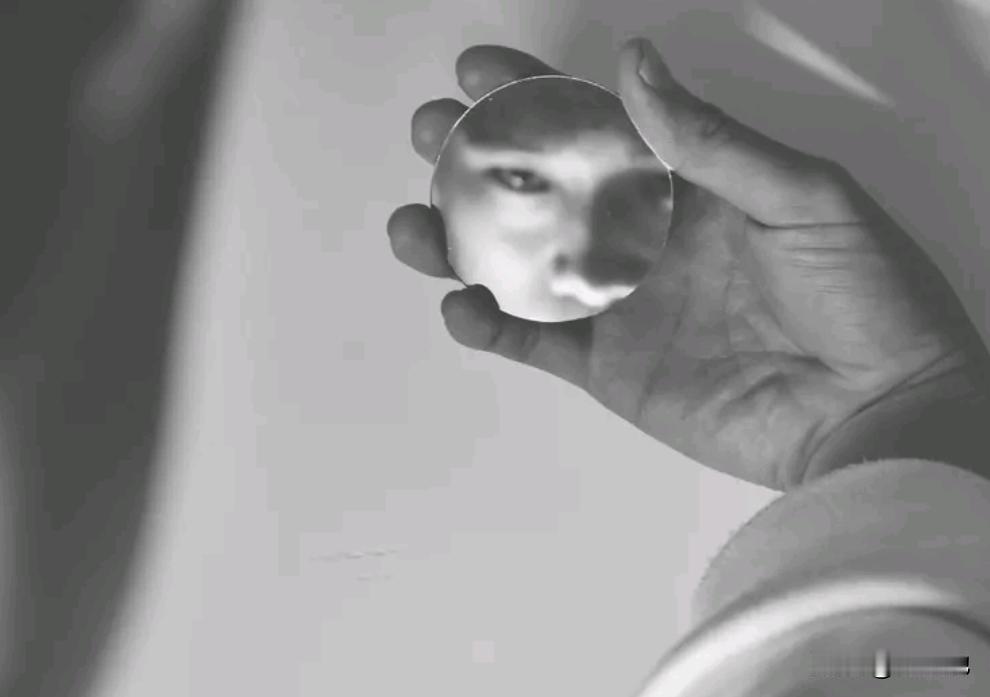 干脆把所有艺人的头衔都取消了吧，不然她（她）们继续会利用这些头衔影响大众风向，引