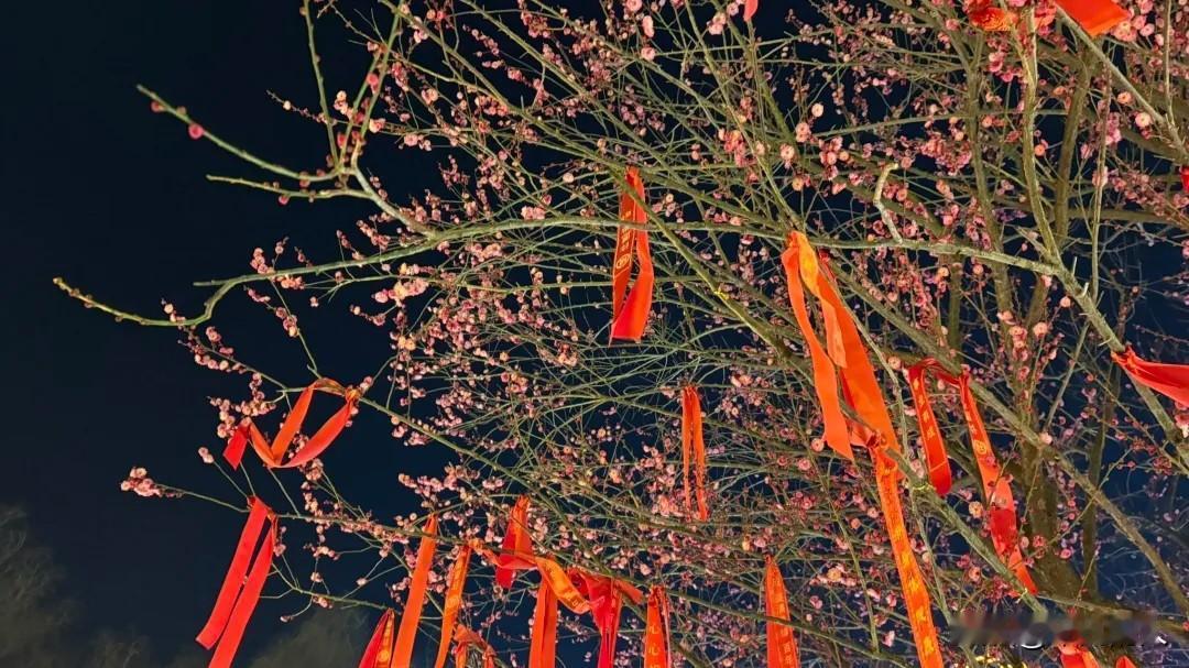 中央一号文件再提“高额彩礼” 2026 年中央一号文件又提到了“高额彩礼”问题，